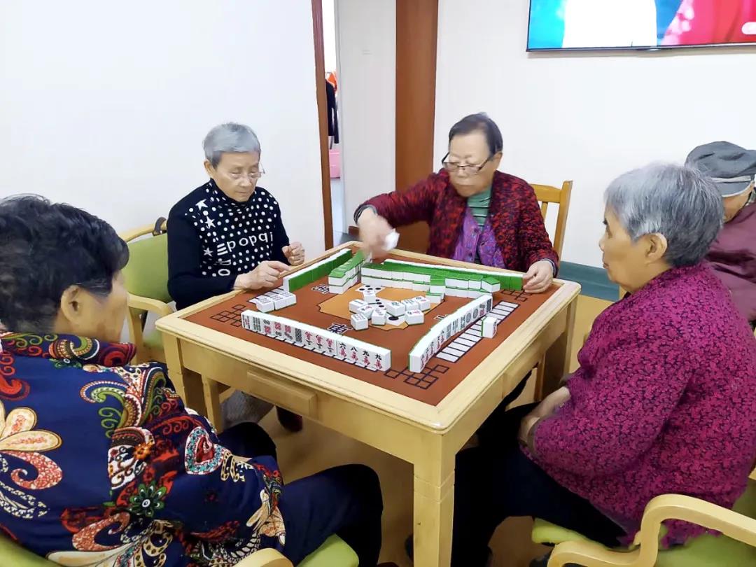 海福祥長者生活錄|與春天撞了個滿懷