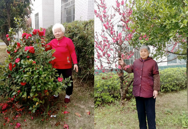 海福祥長者生活錄|與春天撞了個滿懷