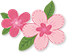 海福祥長者生活錄|與春天撞了個滿懷