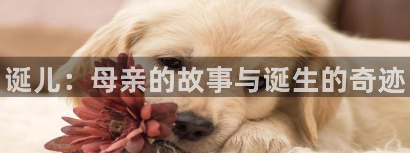 奇漫网漫画下拉式奇漫屋漫画